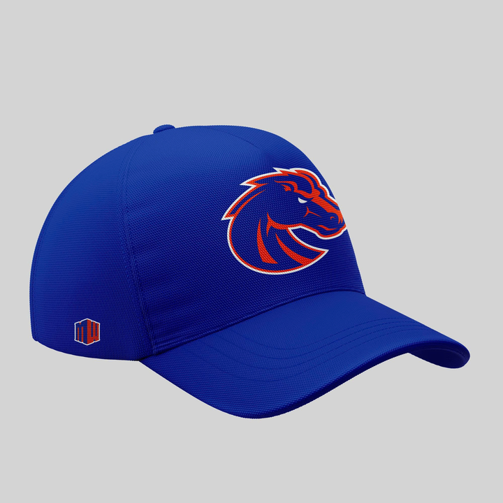 Boise State Broncos Football "The Blue and the State of Idaho" Special Edition Tshirt 2025