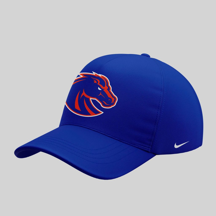 Boise State Broncos Football "The Blue and the State of Idaho" Special Edition 2025 Hoodie V1